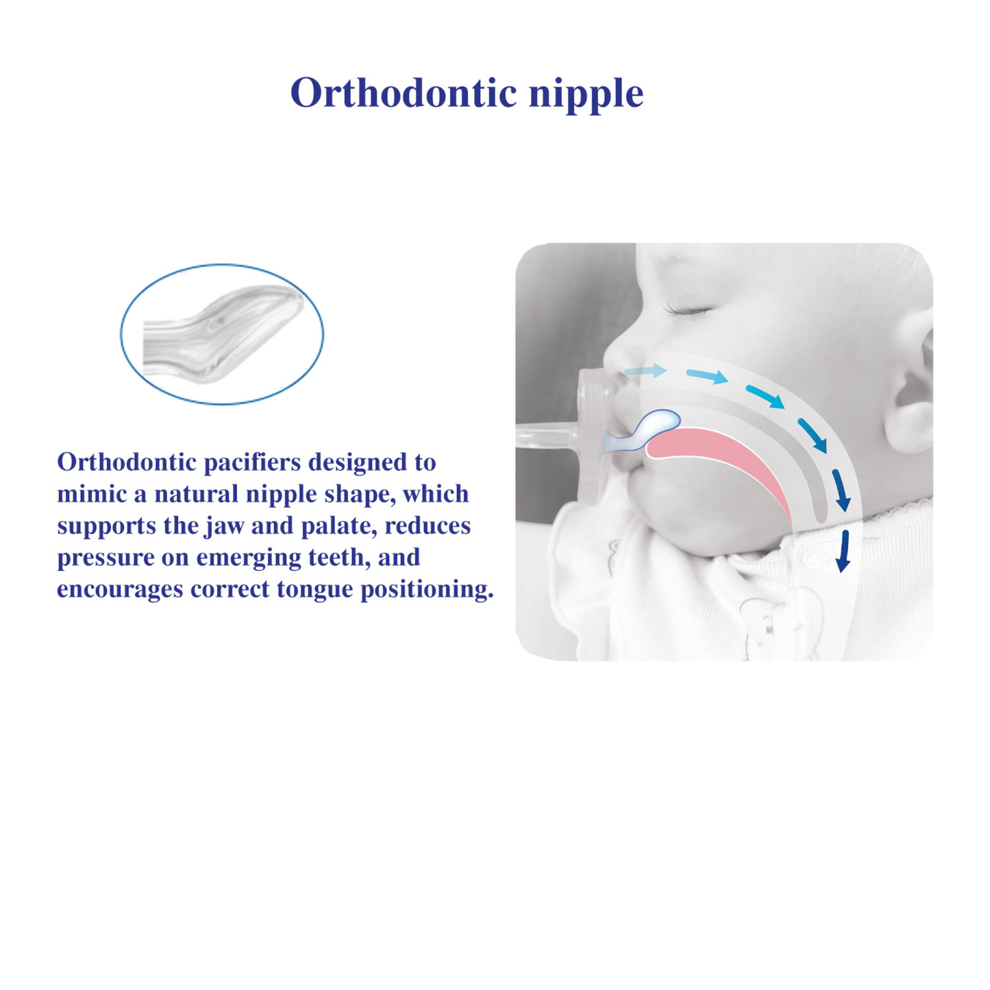Robins Orthodontic Baby Pacifier (0 Months+)