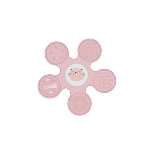 Robins Baby Spinner Water Teether