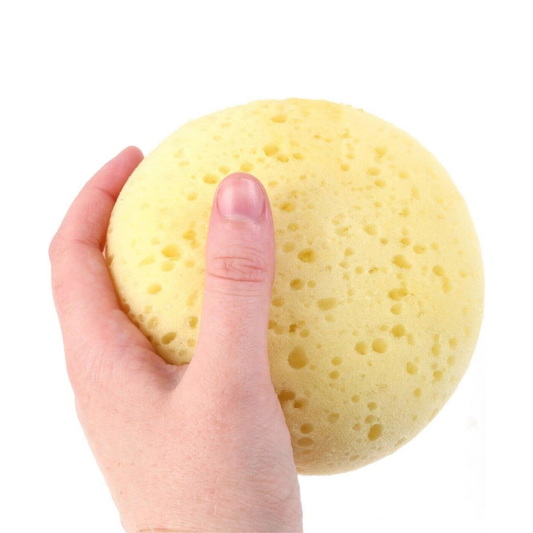 Robins Baby Bathing Sponge