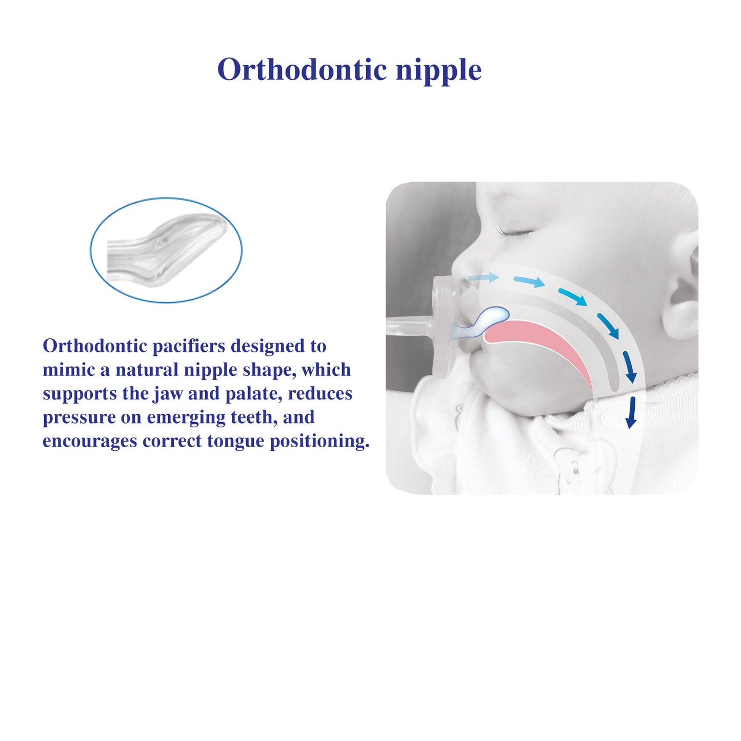 Robins Orthodontic Baby Pacifier