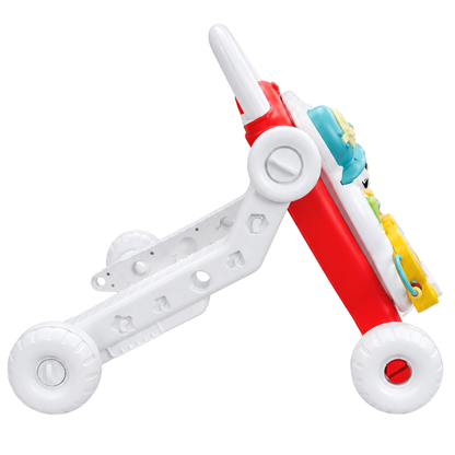 Robins Baby Activity Multi-Functional Walker (3M+)