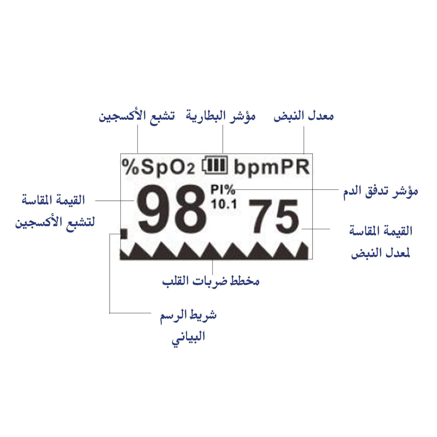 Robins Pulse Oximeter – RO 44