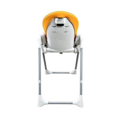 Robins Tina Baby Highchair