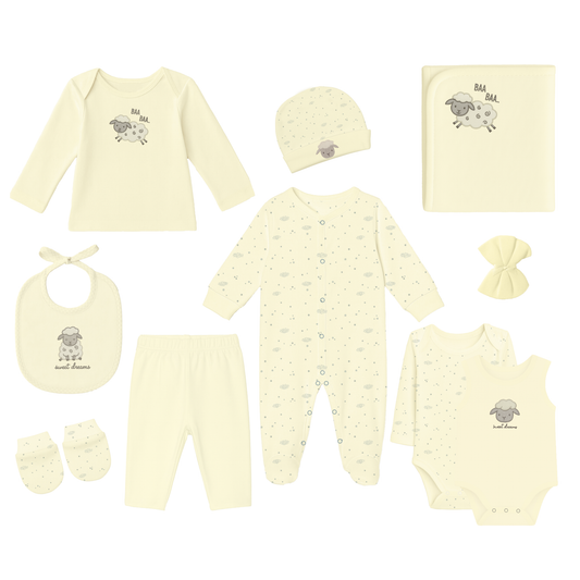 Robins Newborn Clothing Gift Set – 10 Pieces