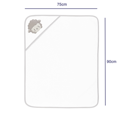 Robins Baby Hooded Towel Set