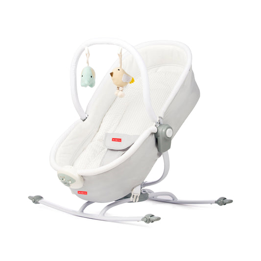 Robins Isabella 2-in-1 Rocker & Bassinet